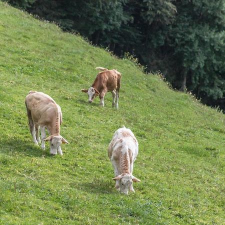 Ferienwohnung Oberrissglueck Schliersee Eksteriør bilde